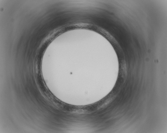 X0000082700734200702232229