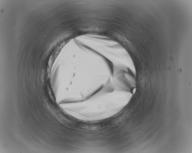 X0000082700735200702232229