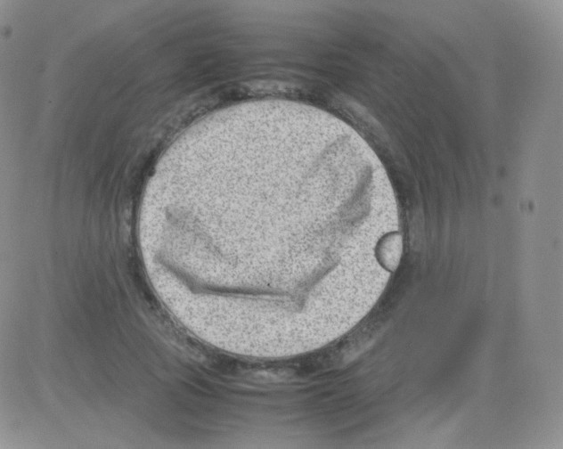 X0000082700737200702232229