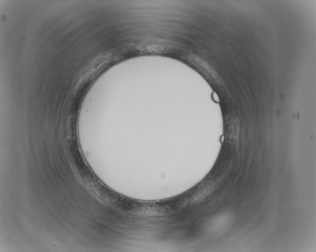 X0000082700738200702232229