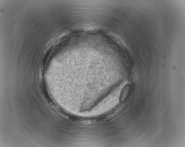 X0000082700740200702232230