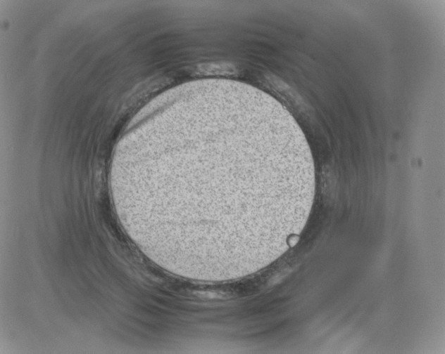 X0000082700741200702232230