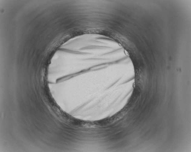 X0000082700742200702232230