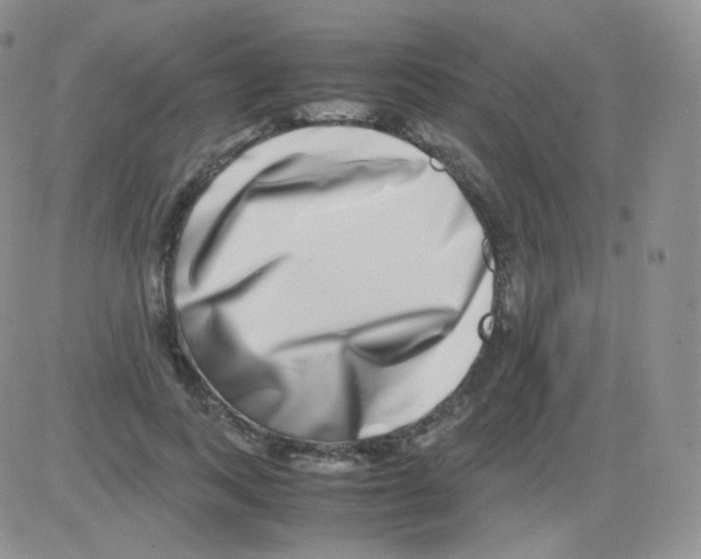 X0000082700743200702232230