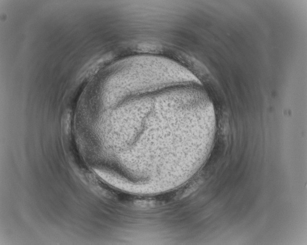 X0000082700744200702232230