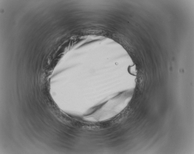 X0000082700745200702232230