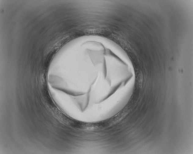 X0000082700746200702232230