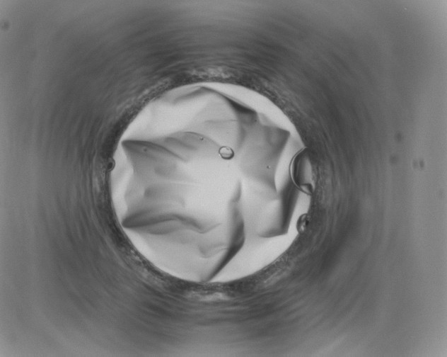 X0000082700747200702232230