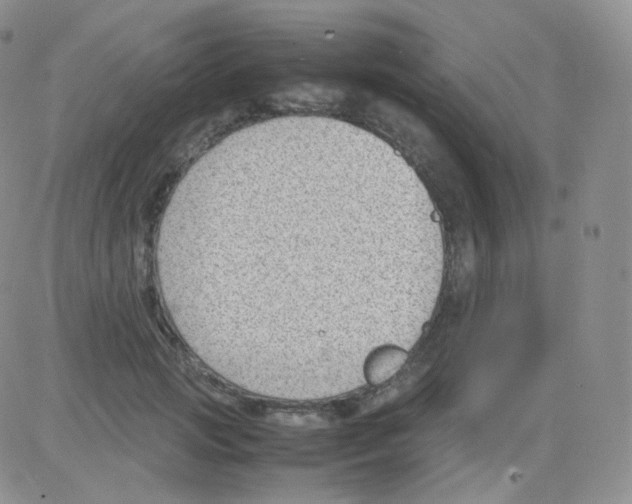 X0000082700749200702232230