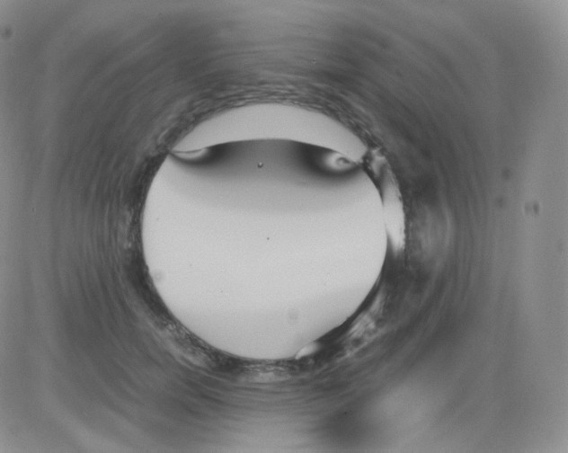 X0000082700750200702232230