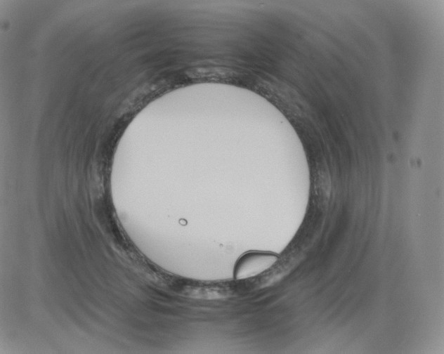 X0000082700751200702232230