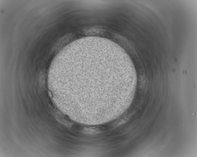 X0000082700753200702232230