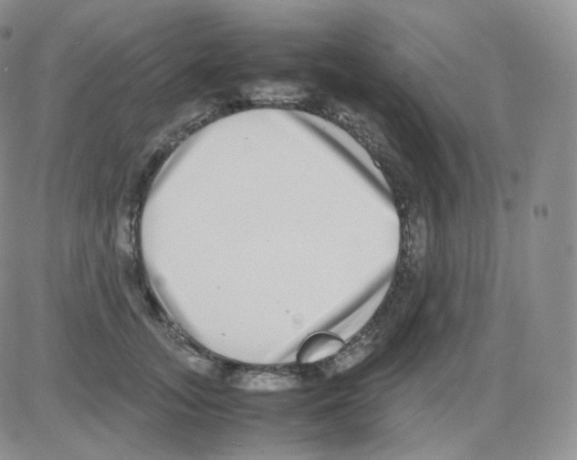 X0000082700755200702232230