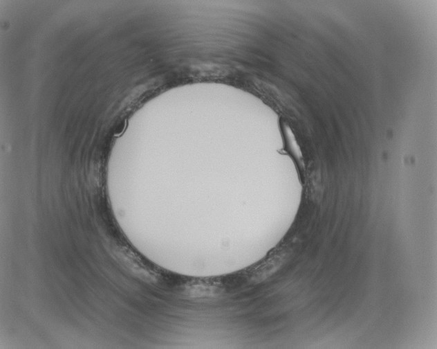 X0000082700756200702232230