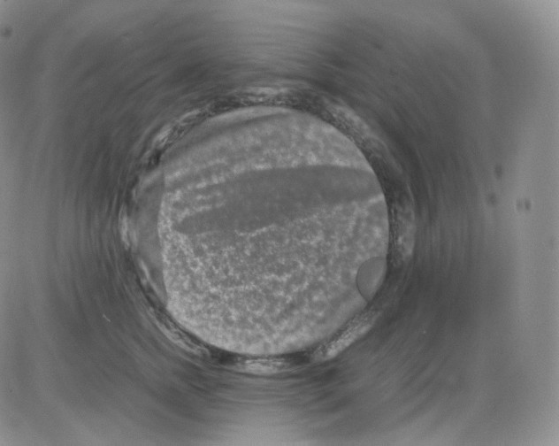 X0000082700758200702232230