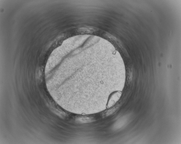 X0000082700759200702232230