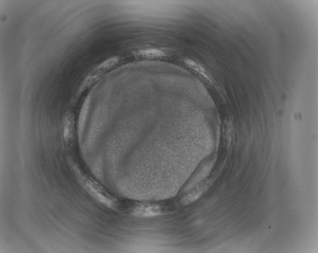 X0000082700760200702232230