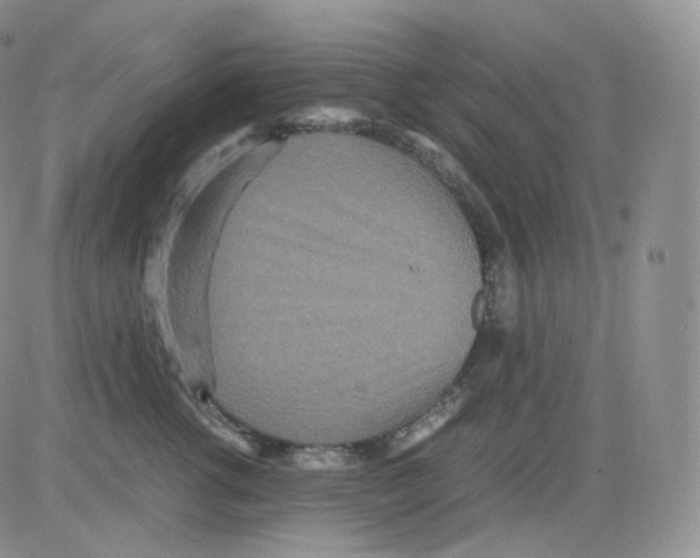 X0000082700762200702232230