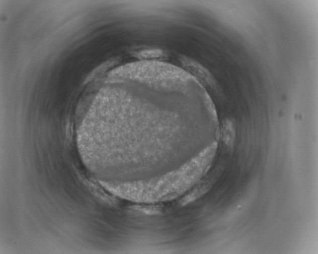 X0000082700763200702232230