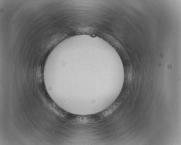 X0000082700764200702232230