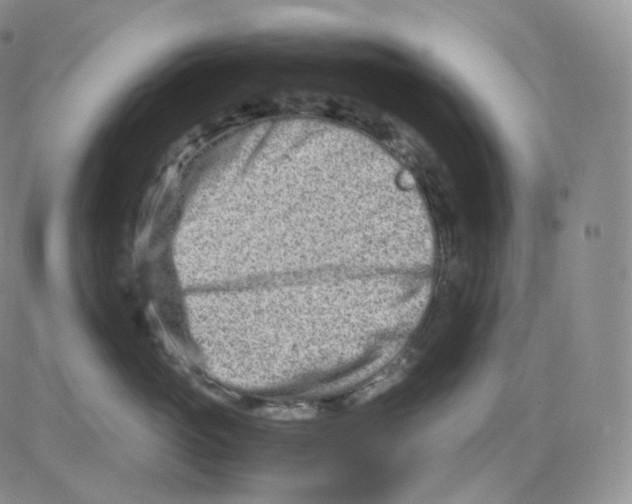 X0000082700765200702232230