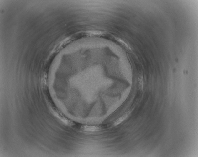 X0000082700766200702232230