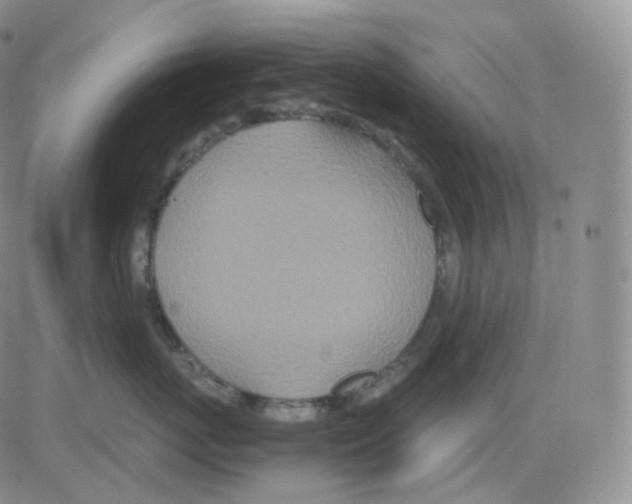 X0000082700767200702232230