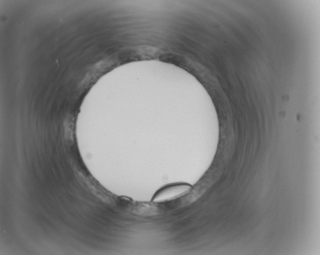 X0000082700768200702232230