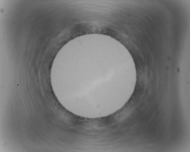 X0000082700769200702232229