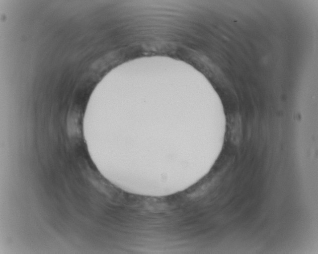 X0000082700770200702232229