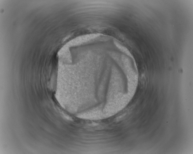 X0000082700772200702232229