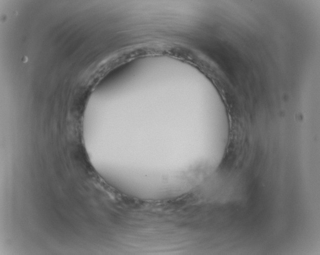 X0000082700773200702232229