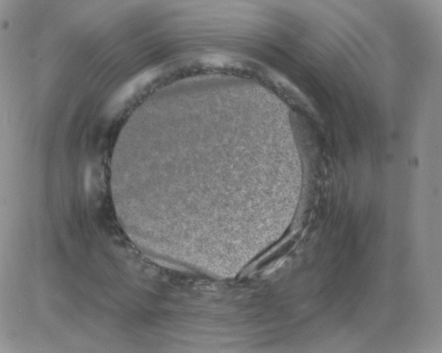 X0000082700776200702232229