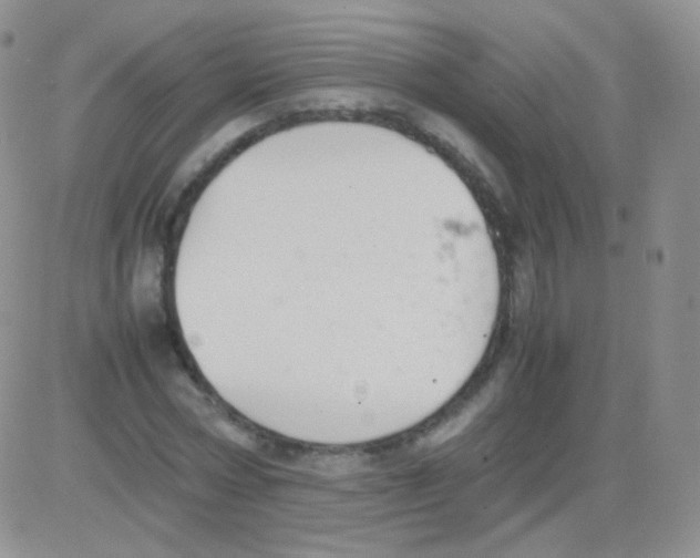 X0000082700778200702232229