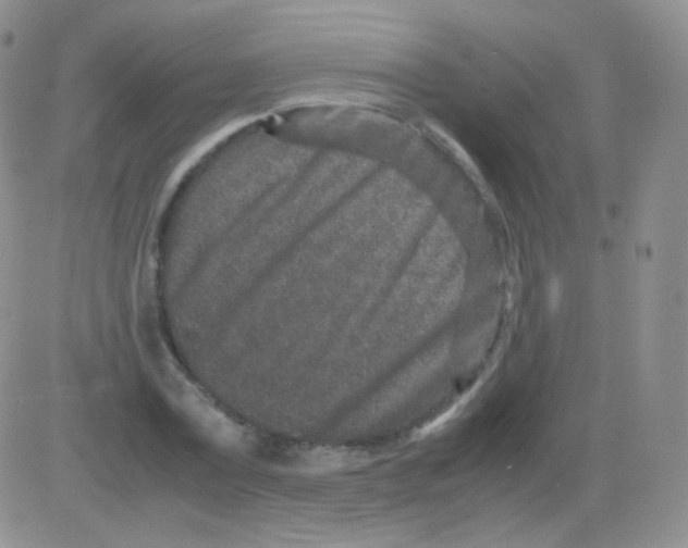 X0000082700779200702232229