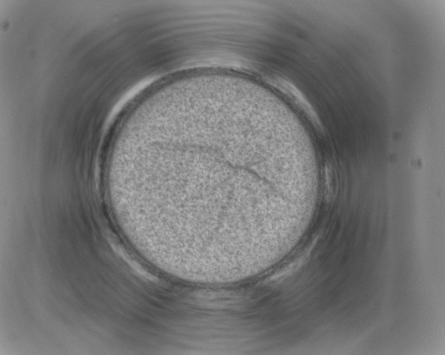 X0000082700780200702232229