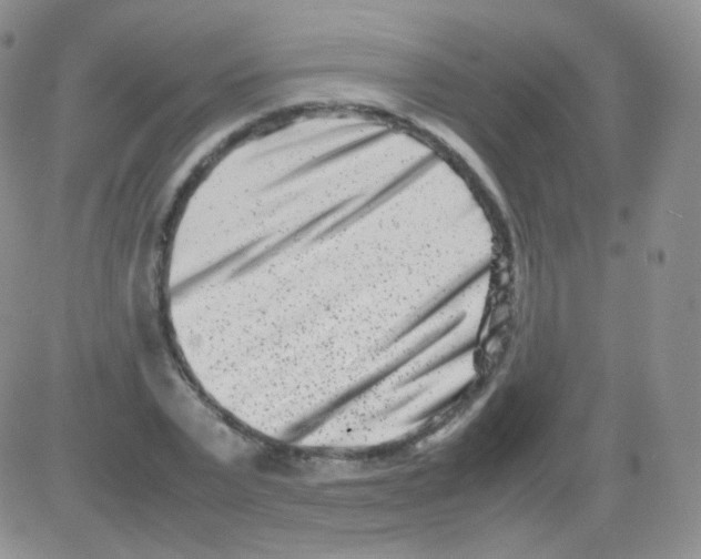 X0000082700783200702232229