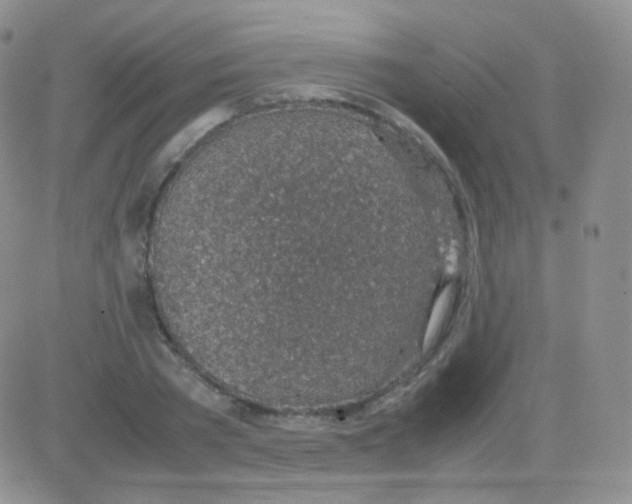 X0000082700785200702232229