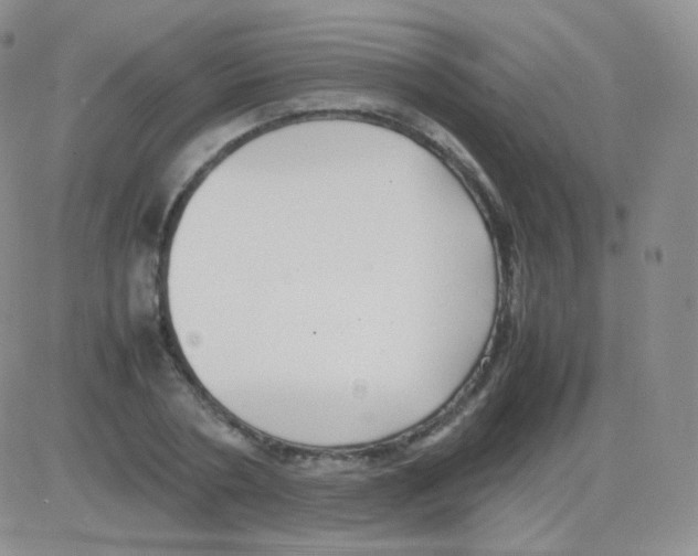 X0000082700786200702232229