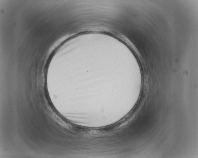 X0000082700787200702232229