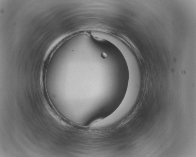 X0000082700788200702232229