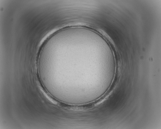 X0000082700789200702232229