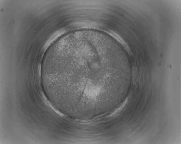 X0000082700790200702232229