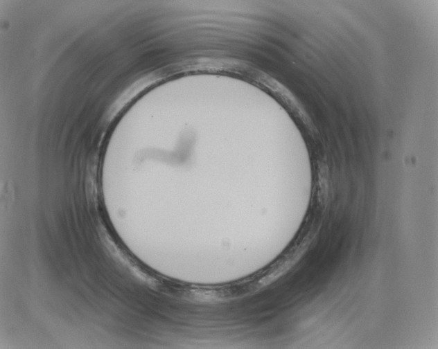 X0000082700794200702232229