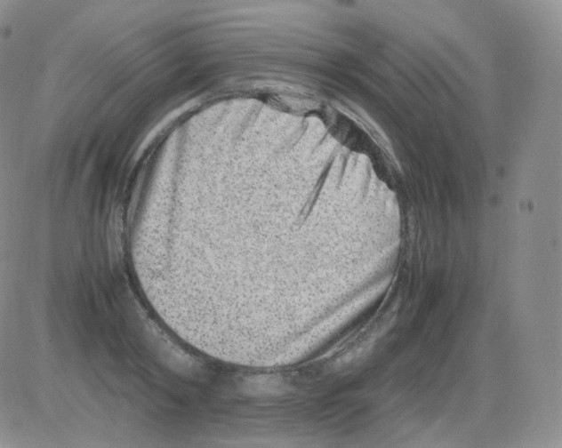 X0000082700798200702232229