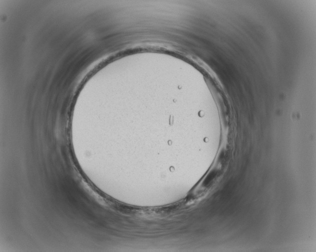 X0000082700799200702232229