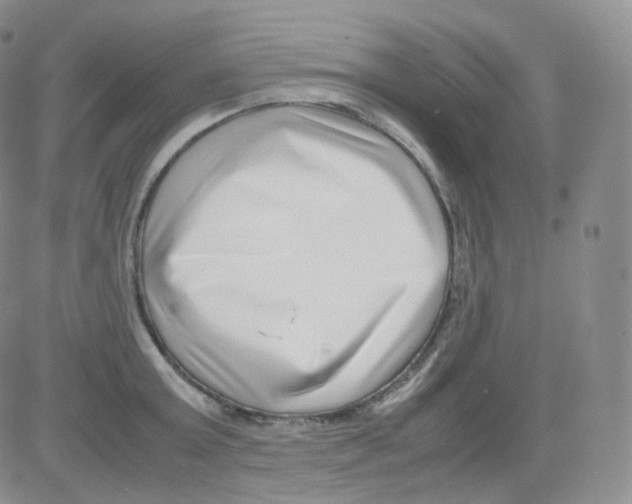 X0000082700803200702232229