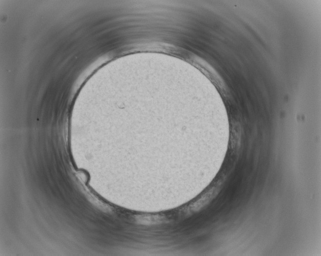 X0000082700804200702232229