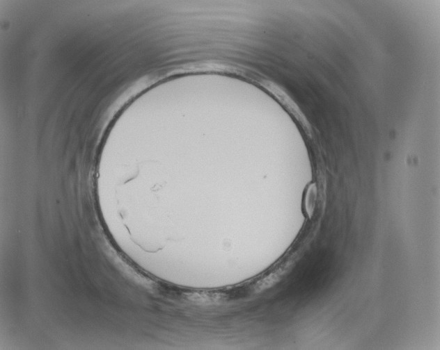 X0000082700805200702232229