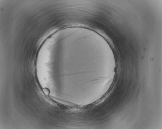 X0000082700806200702232229